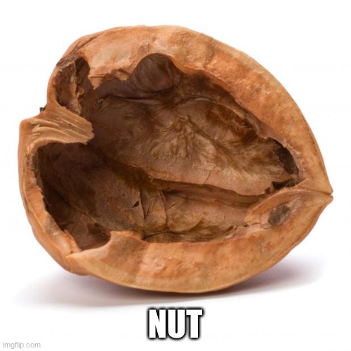 Nutshell | NUT | image tagged in nutshell | made w/ Imgflip meme maker