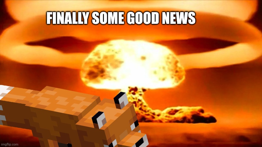 Foxes are radiation resistant | FINALLY SOME GOOD NEWS | image tagged in foxes,love,nukes | made w/ Imgflip meme maker