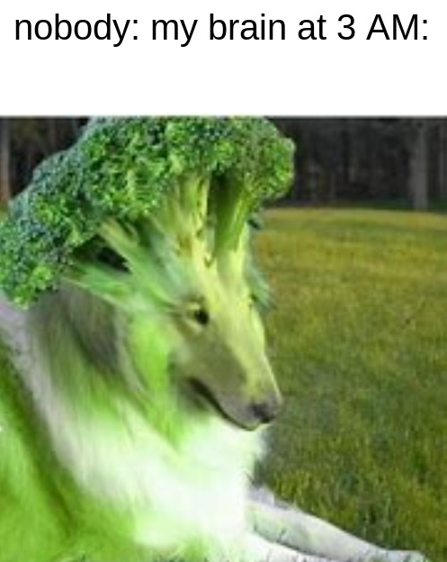 High Quality broccoli dog Blank Meme Template