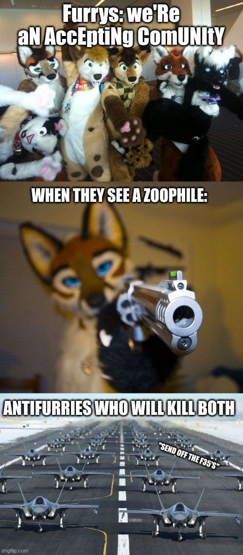 Furrys: we'Re aN AccEptiNg ComUNItY; WHEN THEY SEE A ZOOPHILE:; ANTIFURRIES WHO WILL KILL BOTH; "SEND OFF THE F35'S" | image tagged in furries,furry with gun,f35 | made w/ Imgflip meme maker