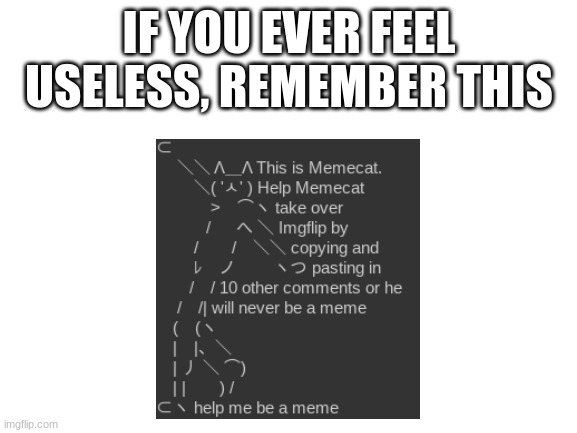 Why does this exist | IF YOU EVER FEEL USELESS, REMEMBER THIS | image tagged in blank white template | made w/ Imgflip meme maker