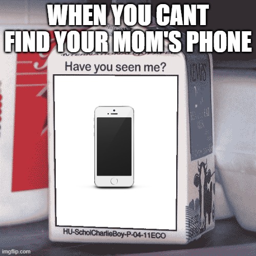 Missing Person | WHEN YOU CANT FIND YOUR MOM'S PHONE | image tagged in missing person | made w/ Imgflip meme maker