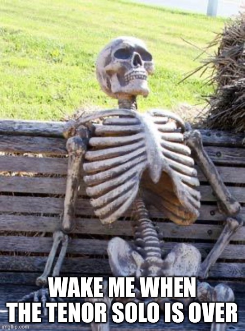 Tenor solo | WAKE ME WHEN THE TENOR SOLO IS OVER | image tagged in memes,waiting skeleton,jazz | made w/ Imgflip meme maker