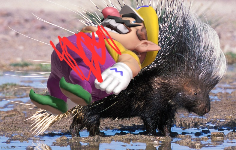 Wario dies by a porcupine.mp3 | image tagged in wario dies,wario,porcupine,animals | made w/ Imgflip meme maker