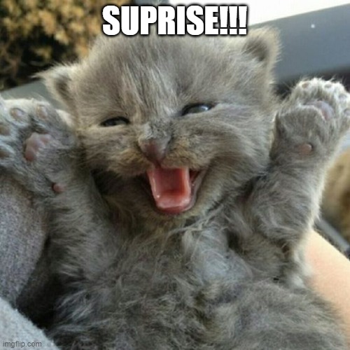 suprise! I ran away but I am back. | SUPRISE!!! | image tagged in suprise i ran away but i am back | made w/ Imgflip meme maker