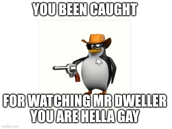 YOU BEEN CAUGHT FOR WATCHING MR DWELLER 
YOU ARE HELLA GAY | made w/ Imgflip meme maker