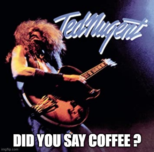 did you say coffee ? | DID YOU SAY COFFEE ? | image tagged in ted nugent | made w/ Imgflip meme maker