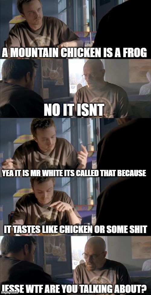 Jesse WTF are you talking about? | A MOUNTAIN CHICKEN IS A FROG; NO IT ISNT; YEA IT IS MR WHITE ITS CALLED THAT BECAUSE; IT TASTES LIKE CHICKEN OR SOME SHIT; JESSE WTF ARE YOU TALKING ABOUT? | image tagged in jesse wtf are you talking about,walter white,jesse pinkman,breaking bad | made w/ Imgflip meme maker