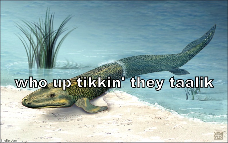 frgf  gn hng | who up tikkin' they taalik | made w/ Imgflip meme maker