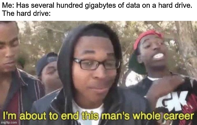 I’m about to end this man’s whole career | Me: Has several hundred gigabytes of data on a hard drive.
The hard drive: | image tagged in i m about to end this man s whole career | made w/ Imgflip meme maker