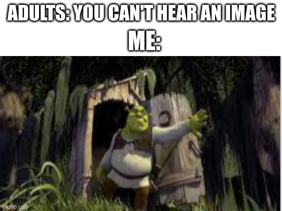shrek | ME:; ADULTS: YOU CAN'T HEAR AN IMAGE | image tagged in shrek | made w/ Imgflip meme maker