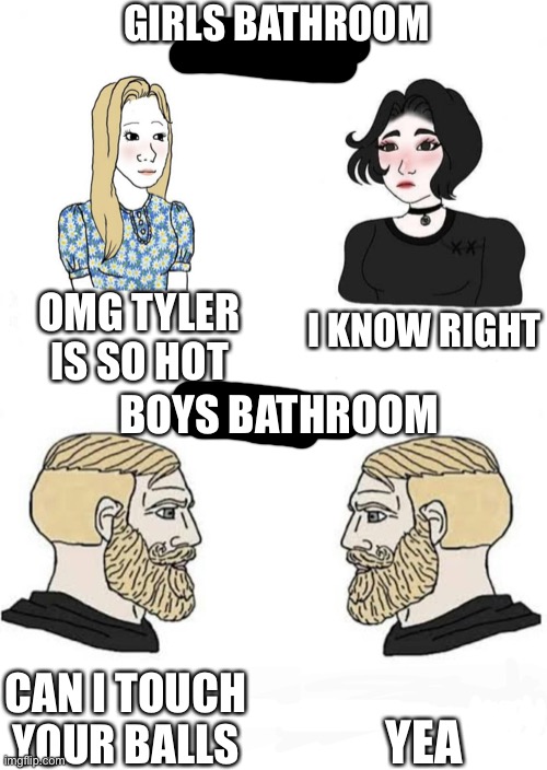 Girls vs Boys | GIRLS BATHROOM; OMG TYLER IS SO HOT; I KNOW RIGHT; BOYS BATHROOM; YEA; CAN I TOUCH YOUR BALLS | image tagged in girls vs boys | made w/ Imgflip meme maker