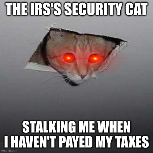 CIA using cats, now the IRS?! | THE IRS'S SECURITY CAT; STALKING ME WHEN I HAVEN'T PAYED MY TAXES | image tagged in memes,ceiling cat | made w/ Imgflip meme maker