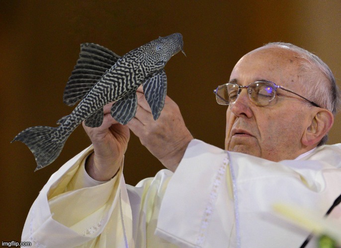 Pope Holding | image tagged in pope holding | made w/ Imgflip meme maker