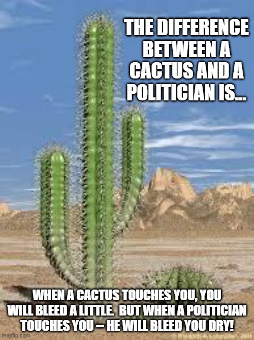 The Cactus And The Politician | THE DIFFERENCE BETWEEN A CACTUS AND A POLITICIAN IS... WHEN A CACTUS TOUCHES YOU, YOU WILL BLEED A LITTLE.  BUT WHEN A POLITICIAN TOUCHES YOU -- HE WILL BLEED YOU DRY! | image tagged in cactus,memes,politics,political fundraising,political donations,politicians | made w/ Imgflip meme maker