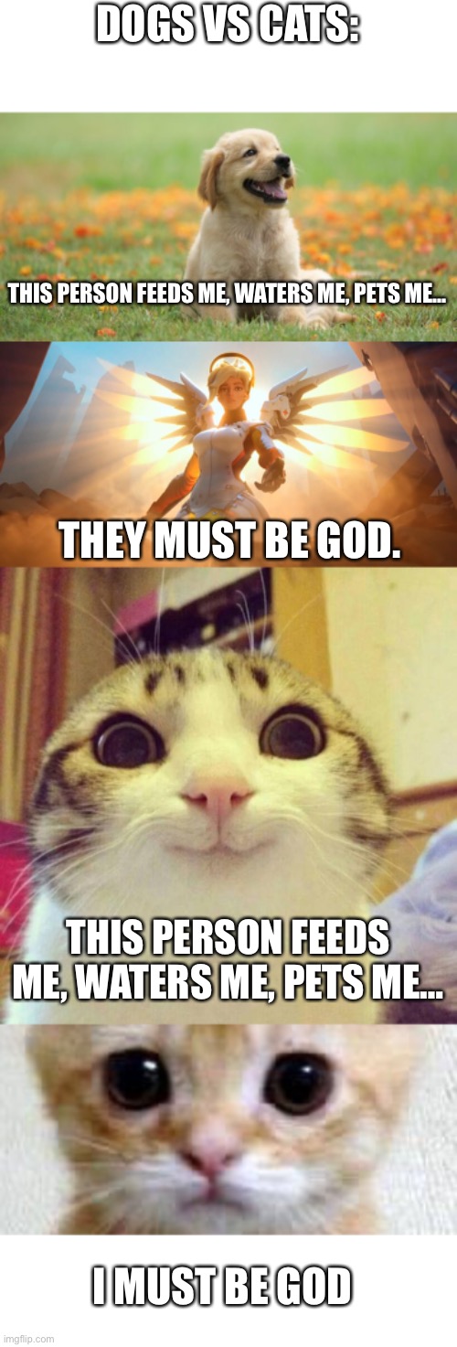 How dogs see us vs how cats see us | DOGS VS CATS:; THIS PERSON FEEDS ME, WATERS ME, PETS ME…; THEY MUST BE GOD. THIS PERSON FEEDS ME, WATERS ME, PETS ME…; I MUST BE GOD | image tagged in overwatch mercy meme,memes,smiling cat,cute cat | made w/ Imgflip meme maker
