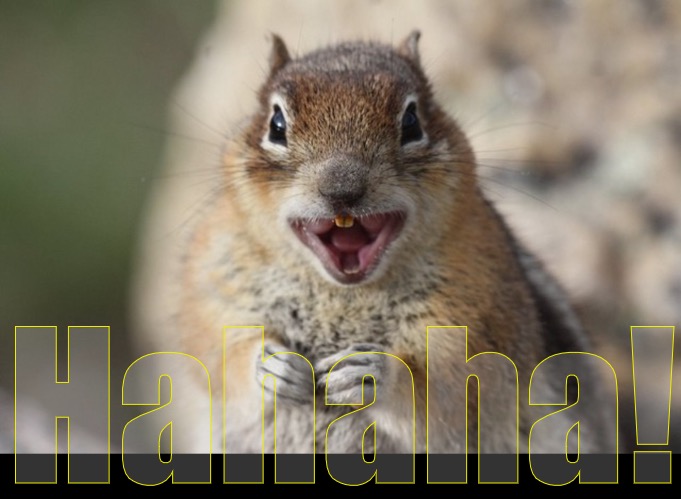 Hahaha! | made w/ Imgflip meme maker