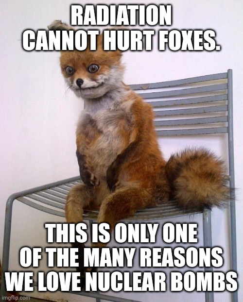 Important facts | RADIATION CANNOT HURT FOXES. THIS IS ONLY ONE OF THE MANY REASONS WE LOVE NUCLEAR BOMBS | image tagged in stoned fox,foxes,love,nukes | made w/ Imgflip meme maker