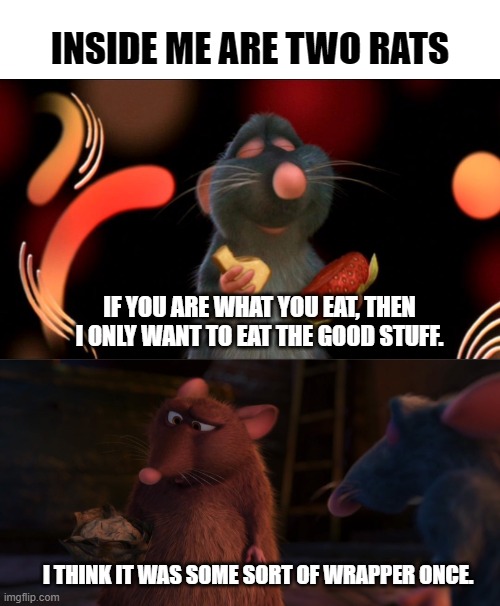 Inside Me Are Two Rats | INSIDE ME ARE TWO RATS; IF YOU ARE WHAT YOU EAT, THEN I ONLY WANT TO EAT THE GOOD STUFF. I THINK IT WAS SOME SORT OF WRAPPER ONCE. | image tagged in ratatouille | made w/ Imgflip meme maker
