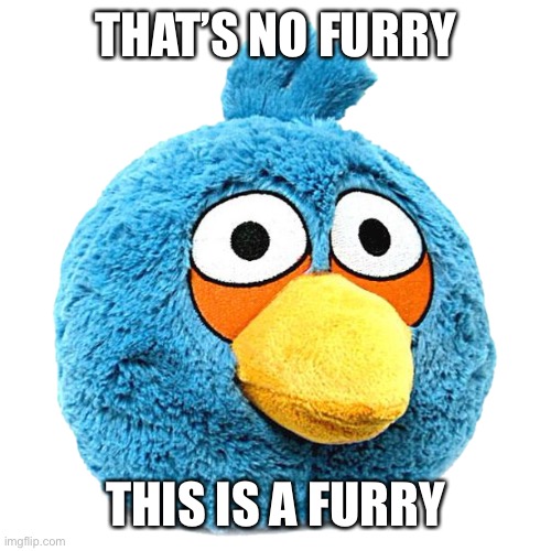 I'm not actually a furry - Imgflip