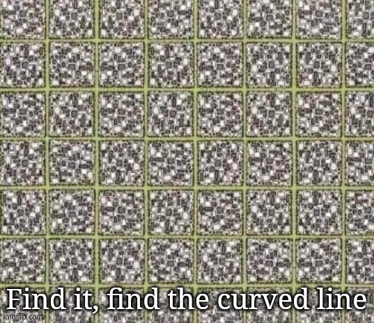 Find the curved line or die | Find it, find the curved line | image tagged in find the curved line or die | made w/ Imgflip meme maker