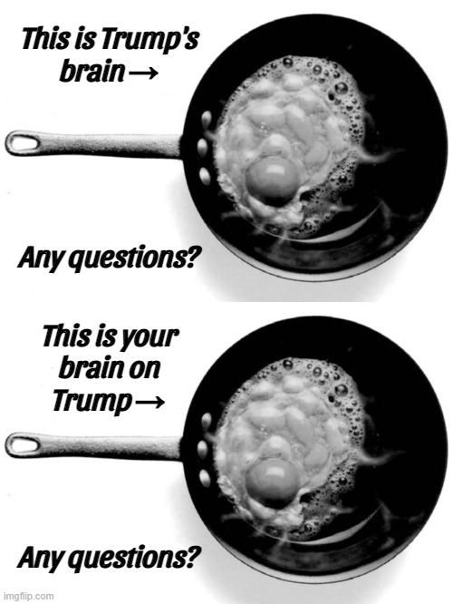 BRAIN FRIED TRAITORS | This is Trump's
brain →; Any questions? This is your
brain on
Trump →; Any questions? | image tagged in scumbag brain,deep fried hell,trump supporter,zombies,brainwashed,morons | made w/ Imgflip meme maker