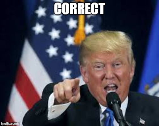 Correct | CORRECT | image tagged in correct | made w/ Imgflip meme maker