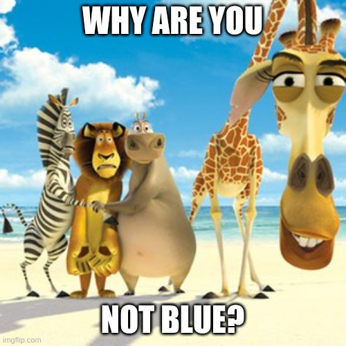 why are you white | WHY ARE YOU NOT BLUE? | image tagged in why are you white | made w/ Imgflip meme maker