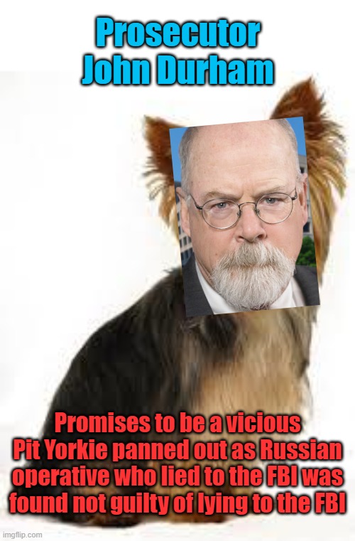Jan 6 insurrectionists can only hope Durham is the prosecutor when their case comes to trial... | Prosecutor John Durham; Promises to be a vicious Pit Yorkie panned out as Russian operative who lied to the FBI was found not guilty of lying to the FBI | image tagged in yorkie | made w/ Imgflip meme maker