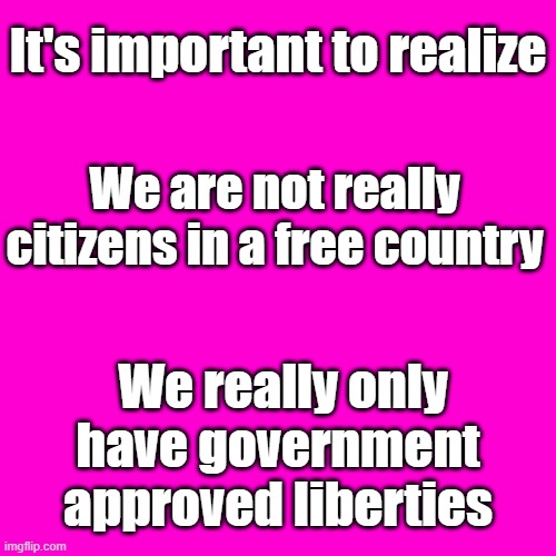 Every day the government allows us fewer liberties. Resist the revolution. | It's important to realize; We are not really citizens in a free country; We really only have government approved liberties | image tagged in blank hot pink background | made w/ Imgflip meme maker