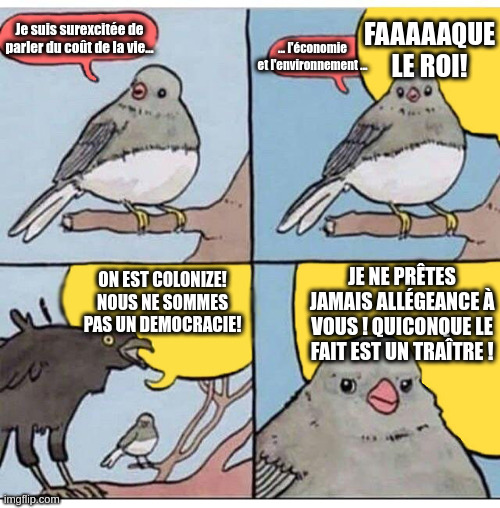 annoyed bird | Je suis surexcitée de parler du coût de la vie... FAAAAAQUE LE ROI! ... l'économie et l'environnement ... JE NE PRÊTES JAMAIS ALLÉGEANCE À VOUS ! QUICONQUE LE FAIT EST UN TRAÎTRE ! ON EST COLONIZE! NOUS NE SOMMES PAS UN DEMOCRACIE! | image tagged in annoyed bird | made w/ Imgflip meme maker