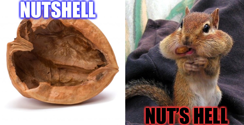 Good Grammar in Nut’s Hell |  NUTSHELL; NUT’S HELL | image tagged in nutshell,hoarding squirrel,bad grammar and spelling memes,grammar,spelling,words | made w/ Imgflip meme maker