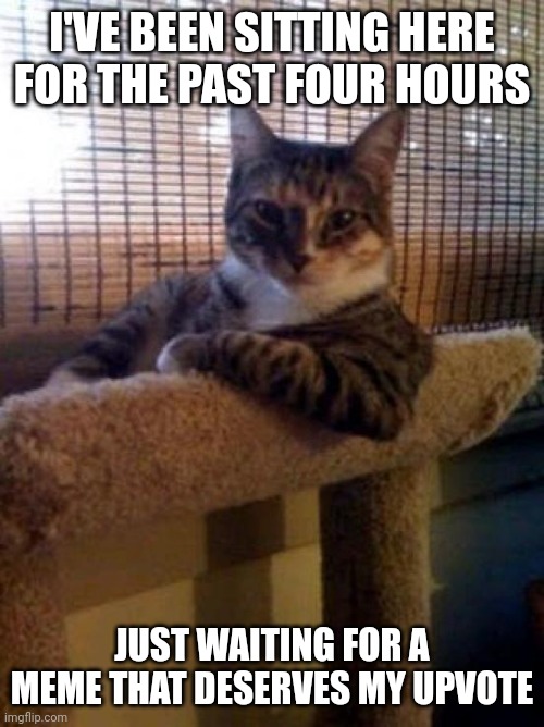 The Most Interesting Cat In The World |  I'VE BEEN SITTING HERE FOR THE PAST FOUR HOURS; JUST WAITING FOR A MEME THAT DESERVES MY UPVOTE | image tagged in memes,the most interesting cat in the world | made w/ Imgflip meme maker