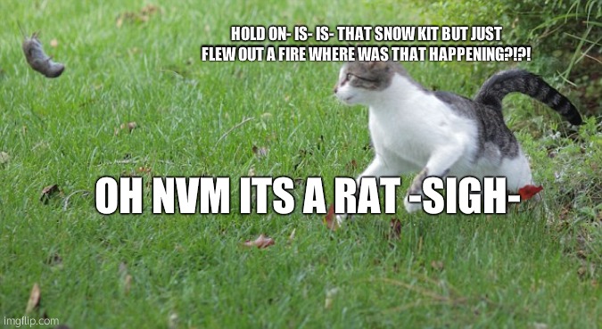 Warrior cat meme | HOLD ON- IS- IS- THAT SNOW KIT BUT JUST FLEW OUT A FIRE WHERE WAS THAT HAPPENING?!?! OH NVM ITS A RAT -SIGH- | image tagged in warrior cat meme | made w/ Imgflip meme maker