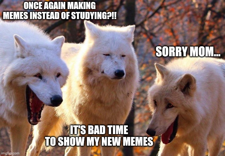 2/3 wolves laugh | ONCE AGAIN MAKING MEMES INSTEAD OF STUDYING?!! SORRY MOM... IT'S BAD TIME TO SHOW MY NEW MEMES | image tagged in 2/3 wolves laugh | made w/ Imgflip meme maker