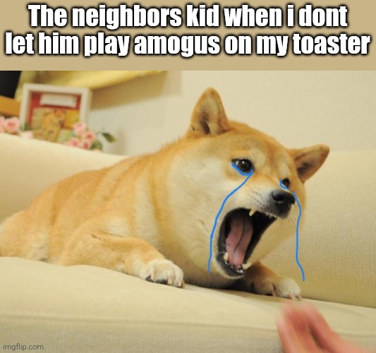 Crying doge | The neighbors kid when i dont let him play amogus on my toaster | image tagged in crying doge | made w/ Imgflip meme maker