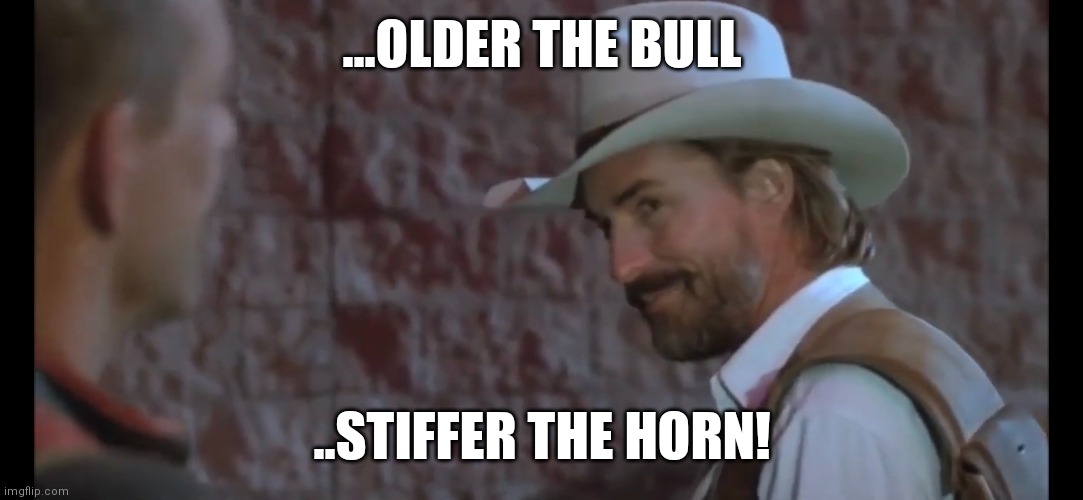 Older the bull stiffer the horn | ...OLDER THE BULL; ..STIFFER THE HORN! | image tagged in memes | made w/ Imgflip meme maker