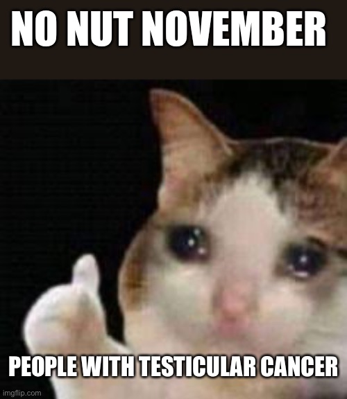 I don’t think Manscaped can help that | NO NUT NOVEMBER; PEOPLE WITH TESTICULAR CANCER | image tagged in approved crying cat | made w/ Imgflip meme maker