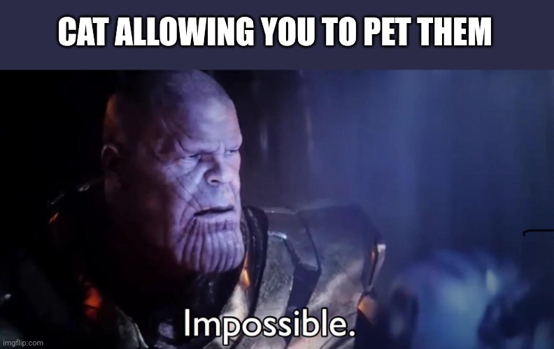 Thanos Impossible | CAT ALLOWING YOU TO PET THEM | image tagged in thanos impossible | made w/ Imgflip meme maker