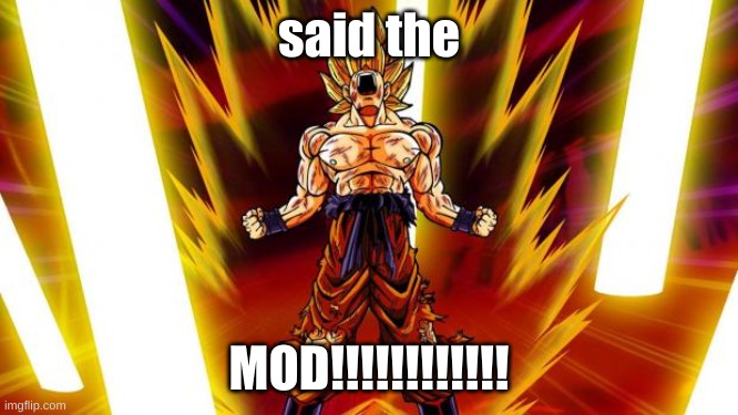 Super Saiyan | said the MOD!!!!!!!!!!!! | image tagged in super saiyan | made w/ Imgflip meme maker