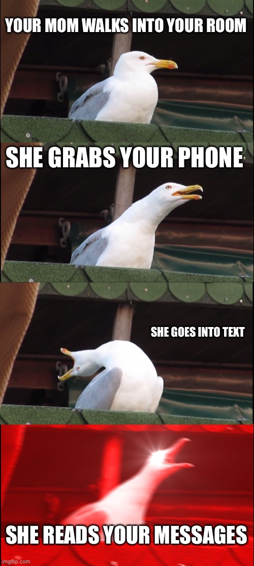 Inhaling Seagull | YOUR MOM WALKS INTO YOUR ROOM; SHE GRABS YOUR PHONE; SHE GOES INTO TEXT; SHE READS YOUR MESSAGES | image tagged in memes,inhaling seagull | made w/ Imgflip meme maker