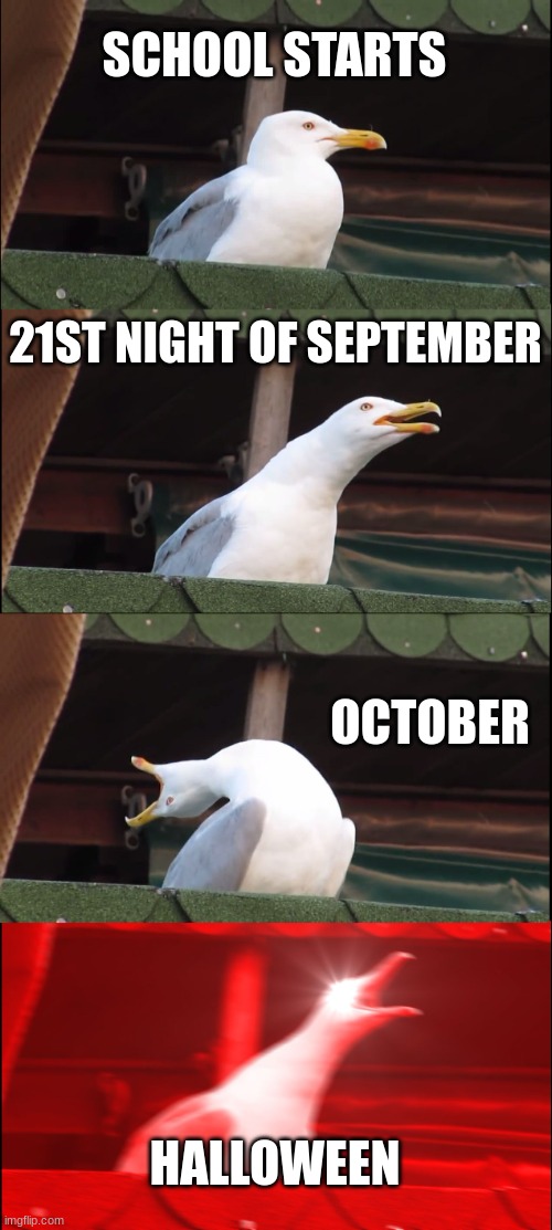 internet | SCHOOL STARTS; 21ST NIGHT OF SEPTEMBER; OCTOBER; HALLOWEEN | image tagged in memes,inhaling seagull | made w/ Imgflip meme maker