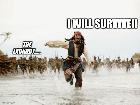 Laundry | I WILL SURVIVE!! THE LAUNDRY...... | image tagged in memes,jack sparrow being chased | made w/ Imgflip meme maker