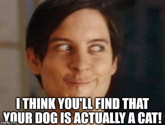 Spiderman Peter Parker Meme | I THINK YOU'LL FIND THAT YOUR DOG IS ACTUALLY A CAT! | image tagged in memes,spiderman peter parker | made w/ Imgflip meme maker
