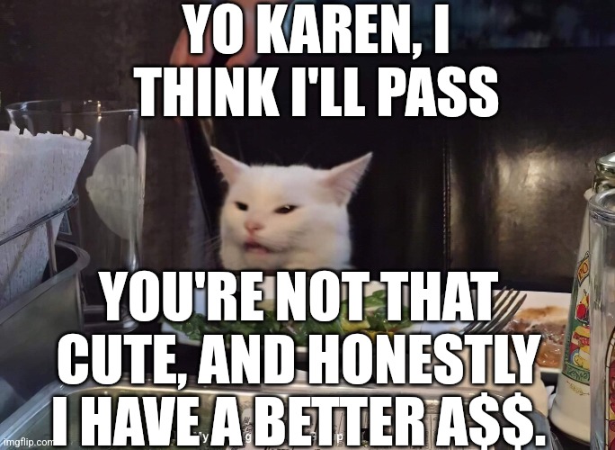 YO KAREN, I THINK I'LL PASS; YOU'RE NOT THAT CUTE, AND HONESTLY I HAVE A BETTER A$$. | image tagged in smudge the cat | made w/ Imgflip meme maker