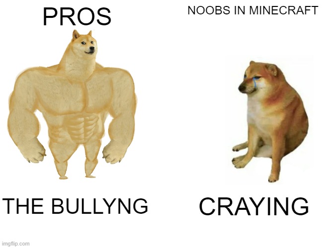 Buff Doge vs. Cheems Meme | PROS; NOOBS IN MINECRAFT; THE BULLYNG; CRAYING | image tagged in memes,buff doge vs cheems | made w/ Imgflip meme maker