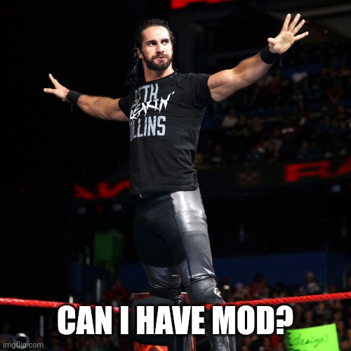 Seth Rollins  | CAN I HAVE MOD? | image tagged in seth rollins | made w/ Imgflip meme maker