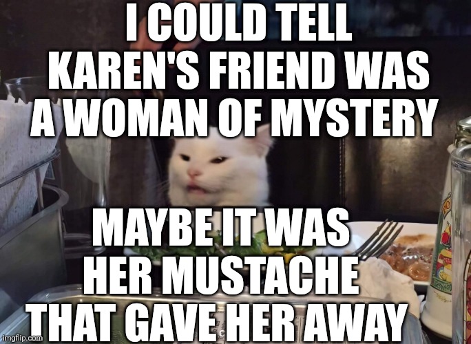 I COULD TELL KAREN'S FRIEND WAS A WOMAN OF MYSTERY; MAYBE IT WAS HER MUSTACHE THAT GAVE HER AWAY | image tagged in smudge the cat | made w/ Imgflip meme maker