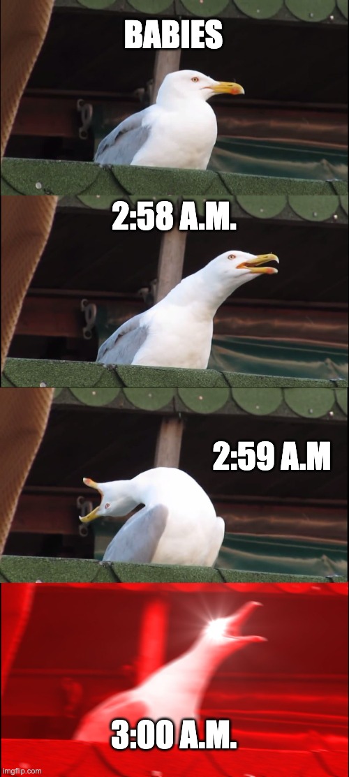 Babies be like | BABIES; 2:58 A.M. 2:59 A.M; 3:00 A.M. | image tagged in memes,inhaling seagull | made w/ Imgflip meme maker