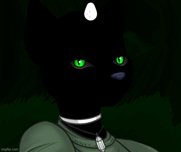 My new panther fursona | 🥚 | image tagged in my new panther fursona | made w/ Imgflip meme maker